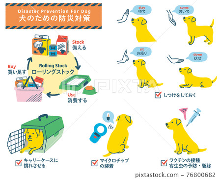 Dog disaster prevention measures illustration set Dog disaster prevention measures illustration set 76800682