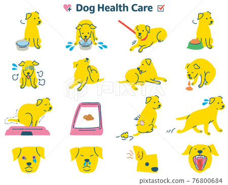 Dog physical condition symptom illustration set Dog physical condition symptom illustration set 76800684