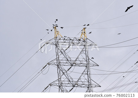Steel tower and crow Steel tower and crow 76802113
