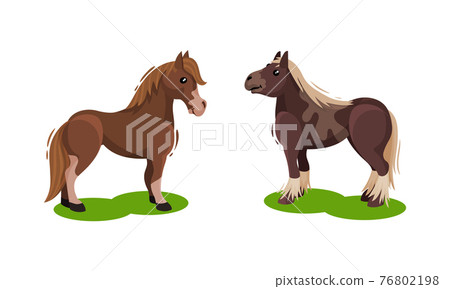 Horse with Crest Grazing on Green Field Vector Set Horse with Crest Grazing on Green Field Vector Set 76802198