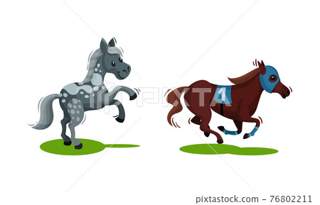 Horse with Crest Grazing on Green Field Vector Set 76802211