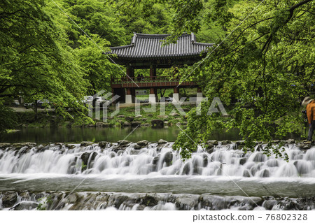 Jangseong Baekyangsa Ssanggyeru 76802328