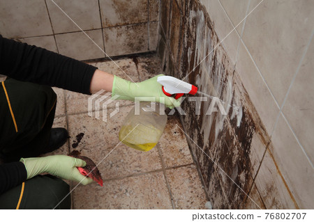 Female cleaning dirty tiles of bathroom wall Female cleaning dirty tiles of bathroom wall 76802707
