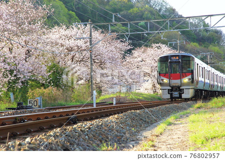 電動火車 電動火車 76802957