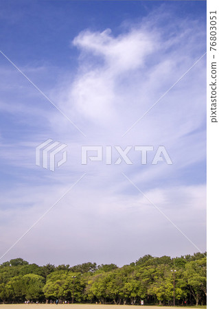 Early summer forest and skyscape of the playground 76803051