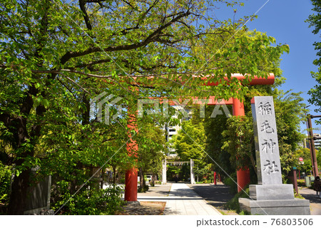 Fresh green shrine Fresh green shrine 76803506