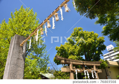 Fresh green shrine Fresh green shrine 76803508