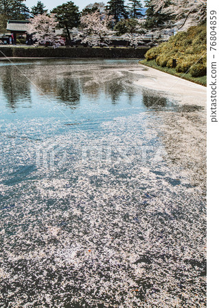 Uesugi Shrine 76804859