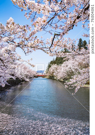 Uesugi Shrine 76804861