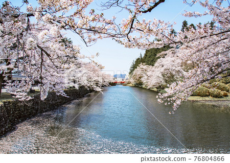 Uesugi Shrine 76804866