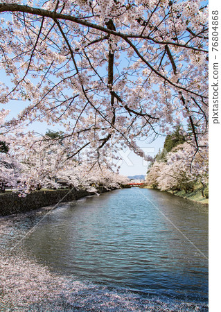 Uesugi Shrine Uesugi Shrine 76804868