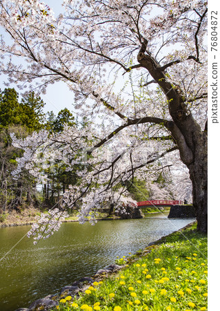 Uesugi Shrine 76804872