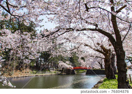 Uesugi Shrine 76804876