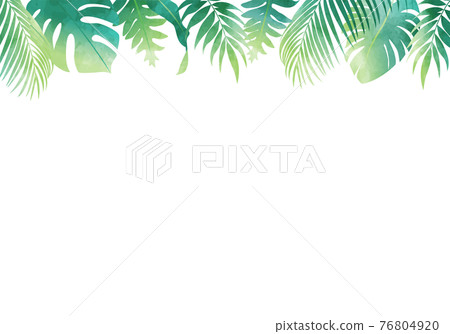 Summer plant leaves several kinds of vector illustration frame background Summer plant leaves several kinds of vector illustration frame background 76804920