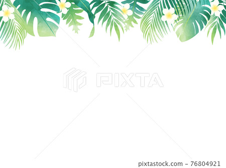 Summer plant leaves several kinds of vector illustration frame background Summer plant leaves several kinds of vector illustration frame background 76804921