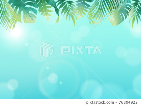 某些夏季植物葉子和太陽和藍天的矢量圖框架背景 76804922