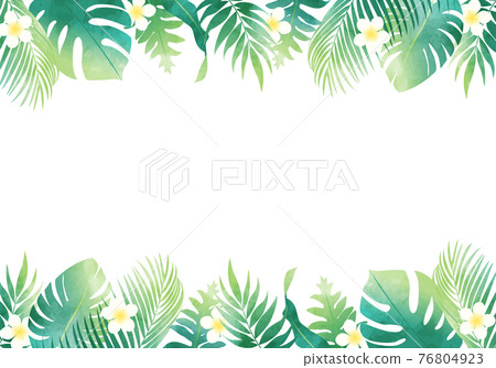 夏季植物葉數種矢量圖框背景 76804923