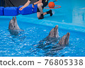 Trained dolphin in the aquarium, dolphinariums. show with dolphins. the trainer works with a trained dolphin. 76805338
