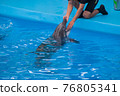 veterinarian examines a trained dolphin. a young white male vet put his hand in the mouth of a dolphin. veterinary medicine, treatment of marine wildlife. caring for animals. dental examination. 76805341