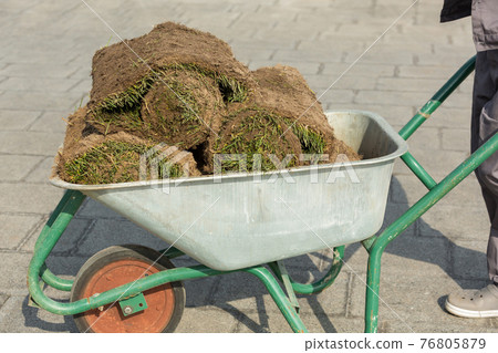 The gardener is transporting a roll of grass in the wheelbarrow for lawn landscaping The gardener is transporting a roll of grass in the wheelbarrow for lawn landscaping 76805879