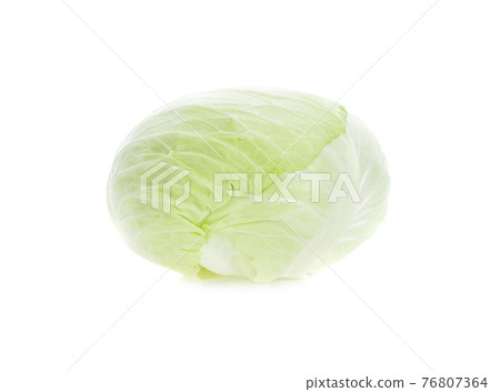 cabbage isolated on white background. 76807364