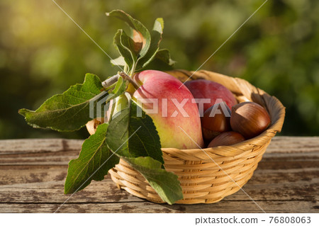 two red ripe apples and several hazelnuts lie in a wicker basket, a basket stands on an old board, the concept of autumn and a healthy lifestyle two red ripe apples and several hazelnuts lie in a wicker basket, a basket stands on an old board, the concept of autumn and a healthy lifestyle 76808063