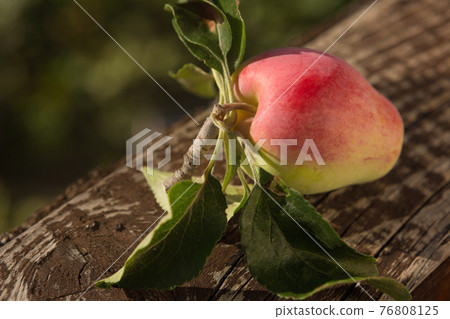 ripe red oblong apple lies on old wooden board, concept of autumn and vitamins, close-up of shooting ripe red oblong apple lies on old wooden board, concept of autumn and vitamins, close-up of shooting 76808125