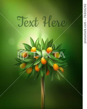 Vector citrus tree - Stock Illustration [76808292] - PIXTA