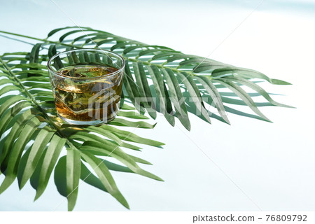 植物茶 植物茶 76809792