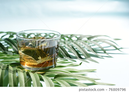 植物茶 植物茶 76809796
