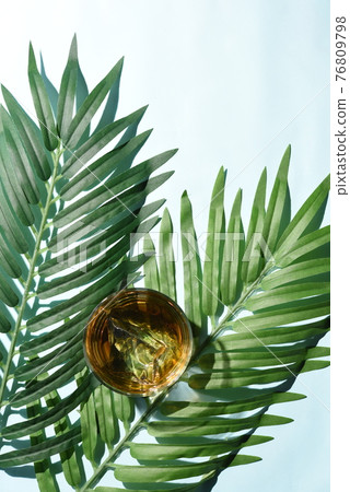 植物茶 植物茶 76809798