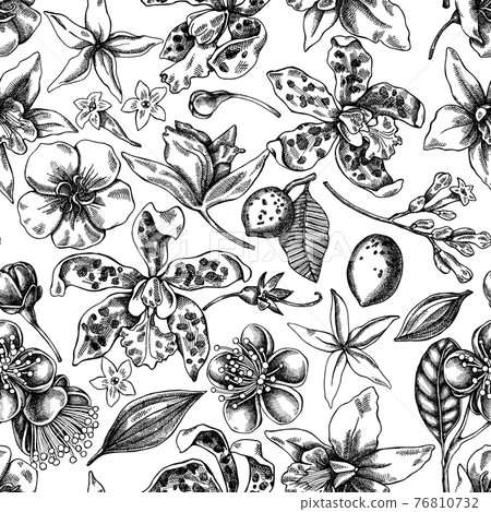 Seamless pattern with black and white laelia, feijoa flowers, glory bush, papilio torquatus Seamless pattern with black and white laelia, feijoa flowers, glory bush, papilio torquatus 76810732