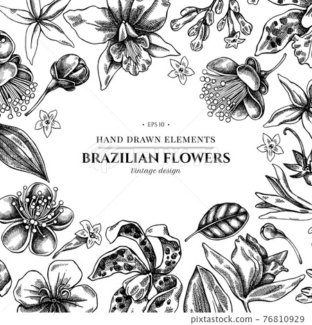 Floral design with black and white laelia, feijoa flowers, glory bush, papilio torquatus, cinchona Floral design with black and white laelia, feijoa flowers, glory bush, papilio torquatus, cinchona 76810929