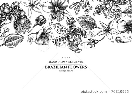 Floral design with black and white laelia, feijoa flowers, glory bush, papilio torquatus, cinchona Floral design with black and white laelia, feijoa flowers, glory bush, papilio torquatus, cinchona 76810935