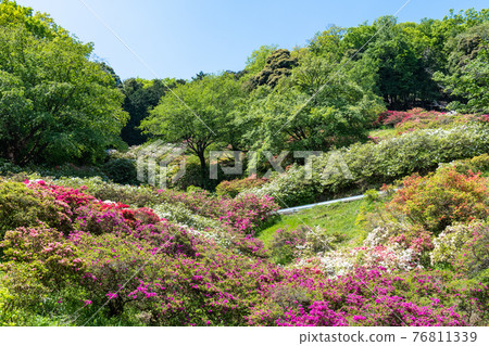 尾瀨町五田松辻公園 尾瀨町五田松辻公園 76811339