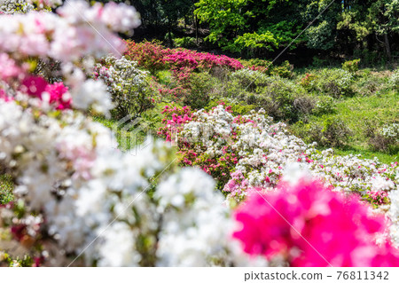 尾瀨町五田松辻公園 尾瀨町五田松辻公園 76811342