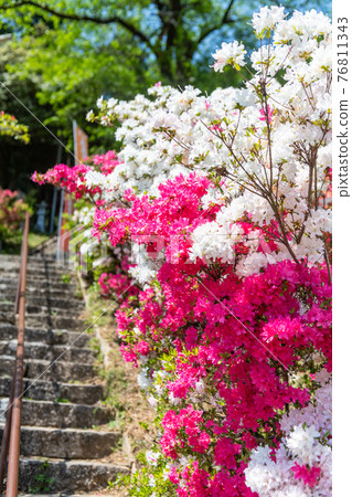 尾瀨町五田松辻公園 尾瀨町五田松辻公園 76811343