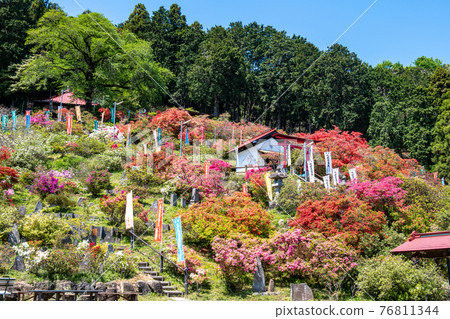 尾瀨町五田松辻公園 尾瀨町五田松辻公園 76811344