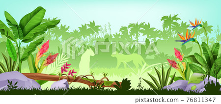 Jungle background, tropical rainforest landscape, exotic wood vector view, green leaves, palm trees Jungle background, tropical rainforest landscape, exotic wood vector view, green leaves, palm trees 76811347