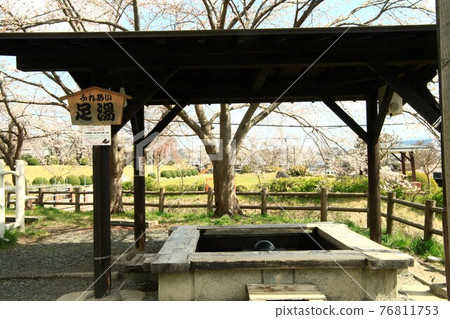Spring footbath 76811753
