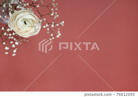 White ranunculus in vase against red brown background, beautiful spring flower, vintage card, copy space for text White ranunculus in vase against red brown background, beautiful spring flower, vintage card, copy space for text 76812093