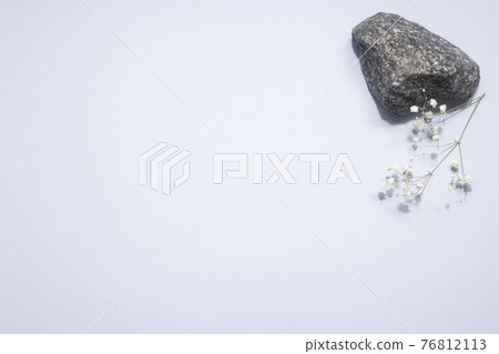 Dry white flower and stone on a light blue pastel background. Trendy, minimal concept with copyspace, Aesthetic, minimalism Dry white flower and stone on a light blue pastel background. Trendy, minimal concept with copyspace, Aesthetic, minimalism 76812113