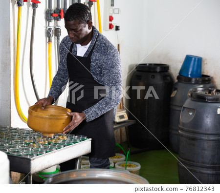 Worker prepares glass jars and olives for canning Worker prepares glass jars and olives for canning 76812343