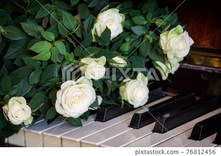 Bouquet of white roses on piano keys. Consept of romance, congratulations, music Bouquet of white roses on piano keys. Consept of romance, congratulations, music 76812456