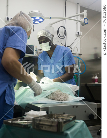 Veterinarian surgeons in operating room at animal hospital Veterinarian surgeons in operating room at animal hospital 76812660