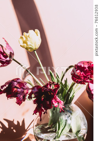 Bunch of Parrot Style Tulips Bunch of Parrot Style Tulips 76812938