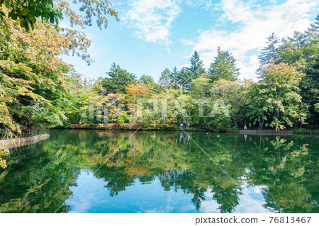 Kumonba池塘 76813467