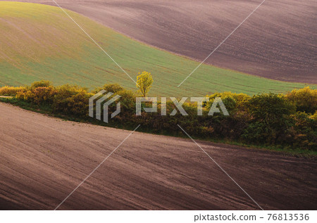 Rural spring landscape Rural spring landscape 76813536