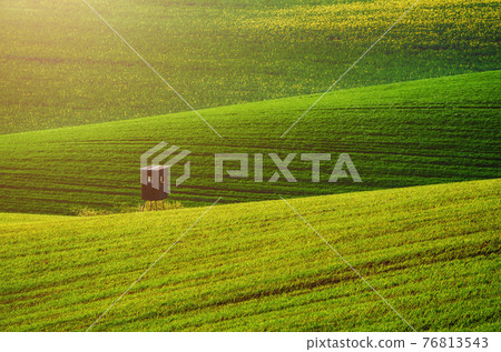 Green grass field background Green grass field background 76813543