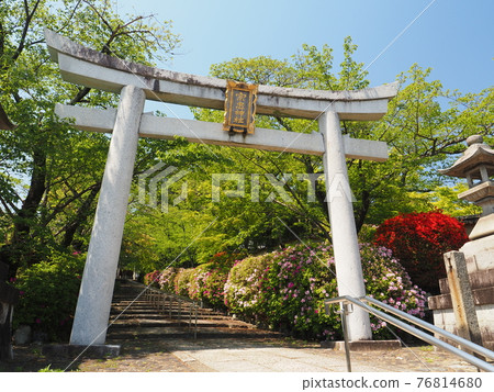 Higashiyama, Kyoto, Hirado Tsutsuji of Munetada Shrine 76814680